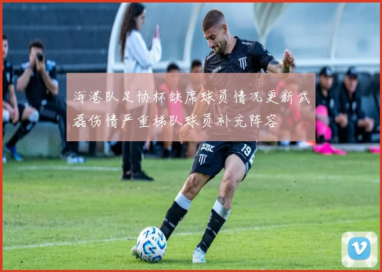 海港队足协杯缺席球员情况更新武磊伤情严重梯队球员补充阵容