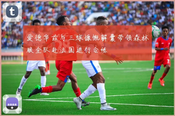 爱德华兹与三球慷慨解囊带领森林狼全队赴法国进行合练