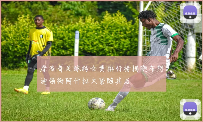 摩洛哥足球转会费排行榜揭晓布阿迪领衔阿什拉夫紧随其后